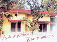 Hotel Ankur Resort