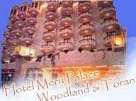 Hotel Meru Palace - Woodland & Toran