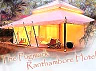 Ranthambore budget hotels, economy hotels in Ranthambore, Ranthambore budget hotels, economy hotels Ranthambore