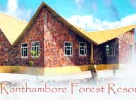 Ranthambore budget hotels, economy hotels in Ranthambore, Ranthambore budget hotels, economy hotels Ranthambore