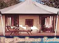 Hotel Tiger Den Resort