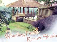 Whistling Pines Resort Shimla