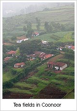 Coonoor Tour Operators, Coonoor Tour Guide, Coonoor Travel services, Tour To Coonoor