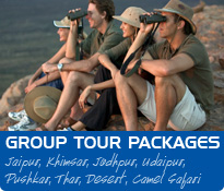 Group Tour Packages