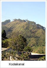 Kodaikanal Travel Information, Kodaikanal Tourism India, Tourism in Kodaikanal India, Kodaikanal Travel Services