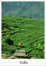 Kullu Travel in India, Kullu Travel Booking, Travel Booking for Kullu, Kullu Holiday Travel